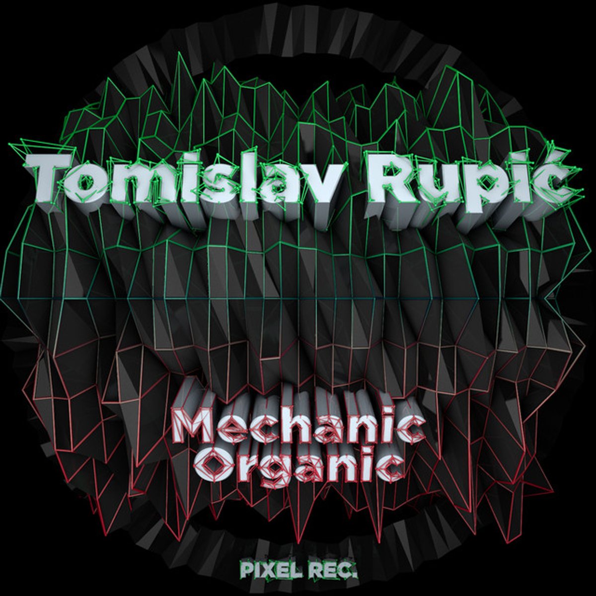 Tomislav Rupic working on Mechanic Organic (2012)